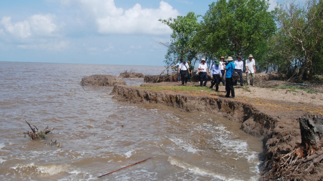 Kiến nghị Thủ tướng cơ chế cho doanh nghiệp xây dựng công trình bảo vệ bờ biển Cà Mau