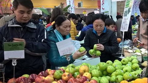 Hà Nội phấn đấu toàn bộ cửa hàng trái cây có đăng ký năm 2018