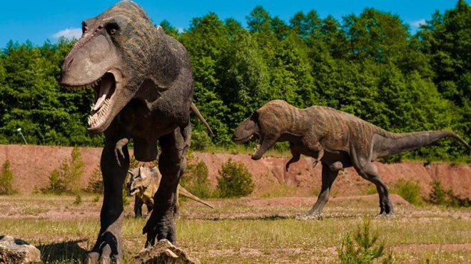 Phát hiện bằng chứng mới về sự tiến hóa của khủng long