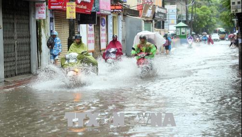 Mưa lớn, miền Bắc, miền Trung sẵn sàng ứng phó với thiên tai 