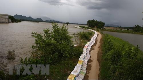 Hà Nội lập nhiều phương án chống bão số 4, giữ an toàn đê tả sông Bùi 