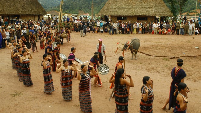 Bộ VHTTDL lên tiếng quanh thông tin về lễ hội đâm trâu ở Huế