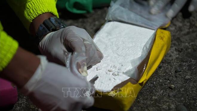 Colombia thu giữ hơn 2,2 tấn cocaine của một nhóm lý khai từ FARC