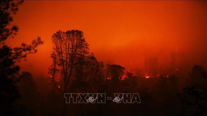 SỐC: Hơn 1.000 người Mỹ mất tích trong thảm họa cháy rừng ở California