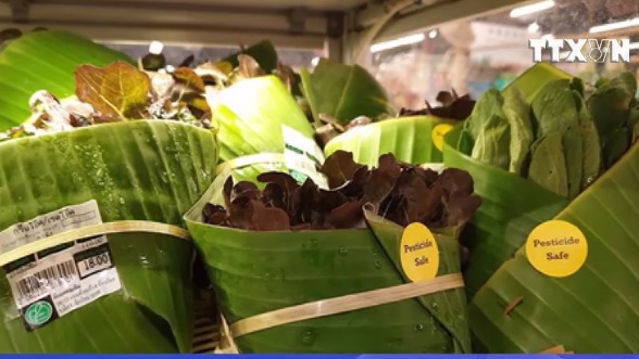 VIDEO: Siêu thị Thái Lan dùng lá chuối thay nilon để gói hàng