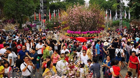 Lễ hội hoa anh đào được xác lập kỷ lục Việt Nam