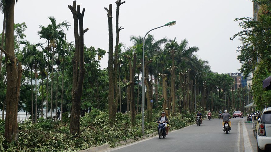 Hà Nội: Trồng hoa sữa ở bãi rác Nam Sơn không có hiệu quả ngăn mùi