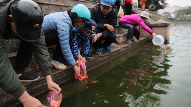 Chùm ảnh: Thả cá chép ngày ông Táo - nét đẹp văn hóa của người Việt