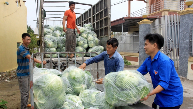 Đến lượt Thái Bình kêu gọi 'giải cứu' nông sản