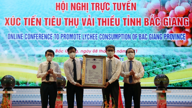Bắc Giang: Hội nghị trực tuyến tiêu thụ vải thiều với 30 điểm cầu trong nước và quốc tế