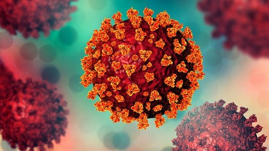 Xác suất nhiễm Covid-19 biến thể Delta cao hơn nhiều so với virus thông thường