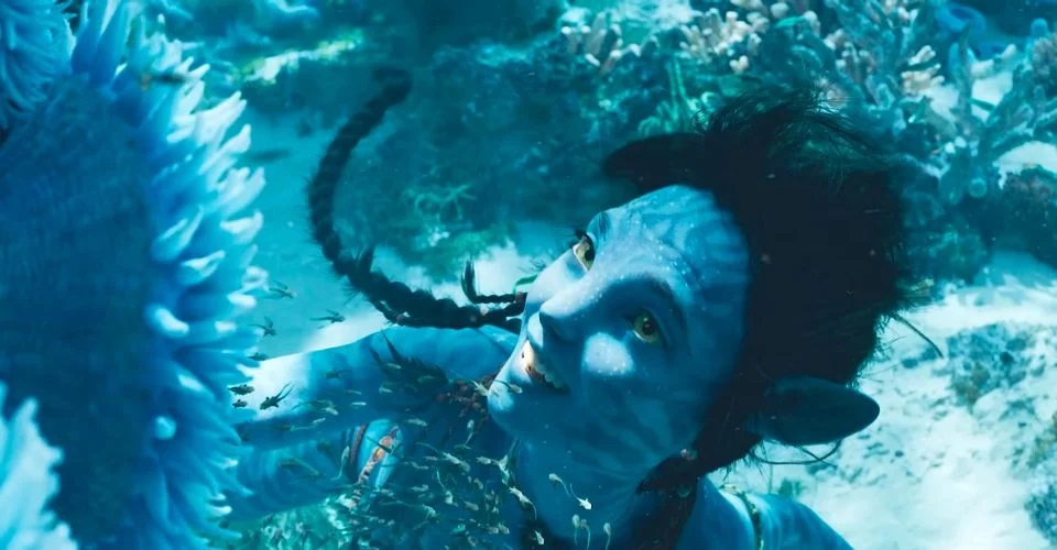 Mặc chê bai Avatar The Way of Water vẫn cán mốc 1 tỷ USD doanh thu  phòng vé