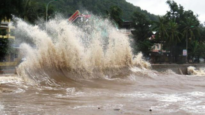 Các tỉnh thành từ Quảng Ninh đến Quảng Ngãi khẩn trương ứng phó với bão Ma-on