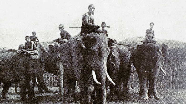 Ảnh = Ký ức = Lịch sử (Kỳ 46): Nghề săn và thuần dưỡng voi ở Tây Nguyên