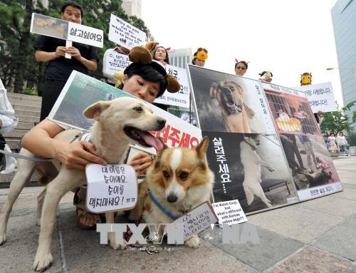 Các nhà hoạt động Hàn Quốc tuần hành kêu gọi bảo vệ động vật và phản đối việc ăn thịt chó tại Seoul. Ảnh: AFP/TTXVN