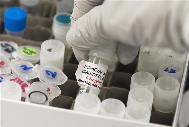 Trong ảnh: Nghiên cứu các mẫu vaccine phòng COVID-19 tại phòng thí nghiệm Novavax ở Rockville, bang Maryland, Mỹ, ngày 20/3/2020. Ảnh: AFP/TTXVN