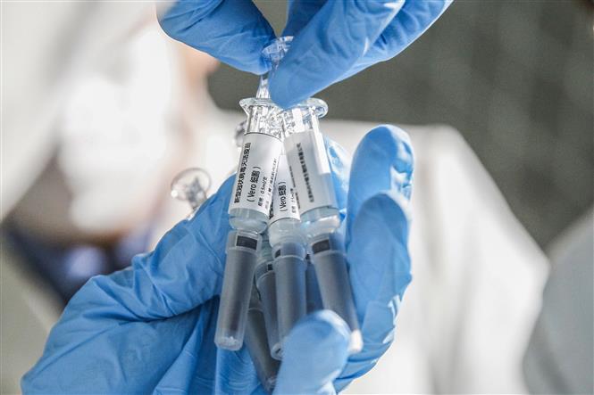 Trong ảnh: Nhân viên giới thiệu mẫu vaccine phòng COVID-19 tại một công ty công nghệ sinh học ở Bắc Kinh, Trung Quốc ngày 16/3/2020. Ảnh: THX/TTXVN