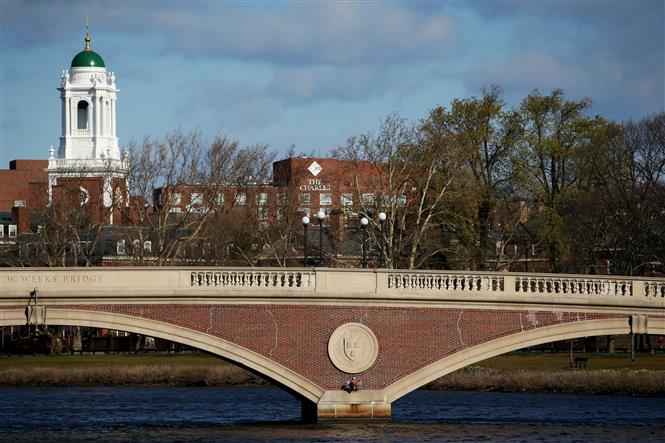 Trong ảnh: Khuôn viên Đại học Harvard ở Cambridge, Massachusetts, Mỹ. Ảnh: AFP/TTXVN