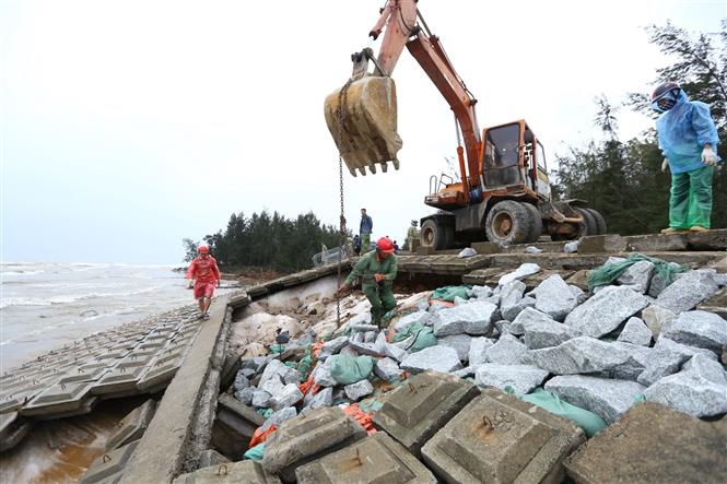 Gia cố điểm sạt lở tại đê biển xã Thịnh Lộc (huyện Lộc Hà). Ảnh: Minh Quyết - TTXVN