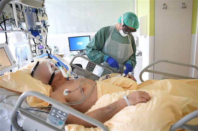 Trong ảnh: Nhân viên y tế điều trị cho bệnh nhân mắc COVID-19 tại một bệnh viện ở Vienna, Áo ngày 27/11/2020. Ảnh: AFP/TTXVN