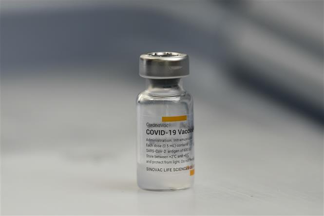Vaccine phòng COVID-19 của hãng Sinovac Biotech (Trung Quốc). Ảnh: THX/ TTXVN