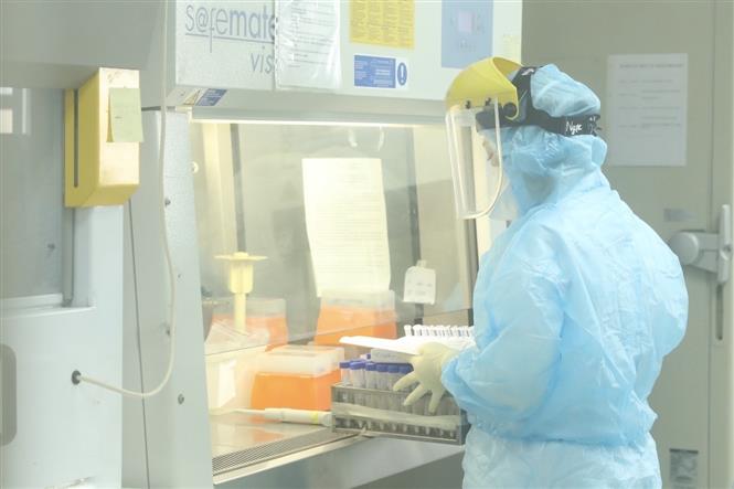  Nhân viên CDC Hà Nội làm xét nghiệm COVID-19. Ảnh: Minh Quyết - TTXVN