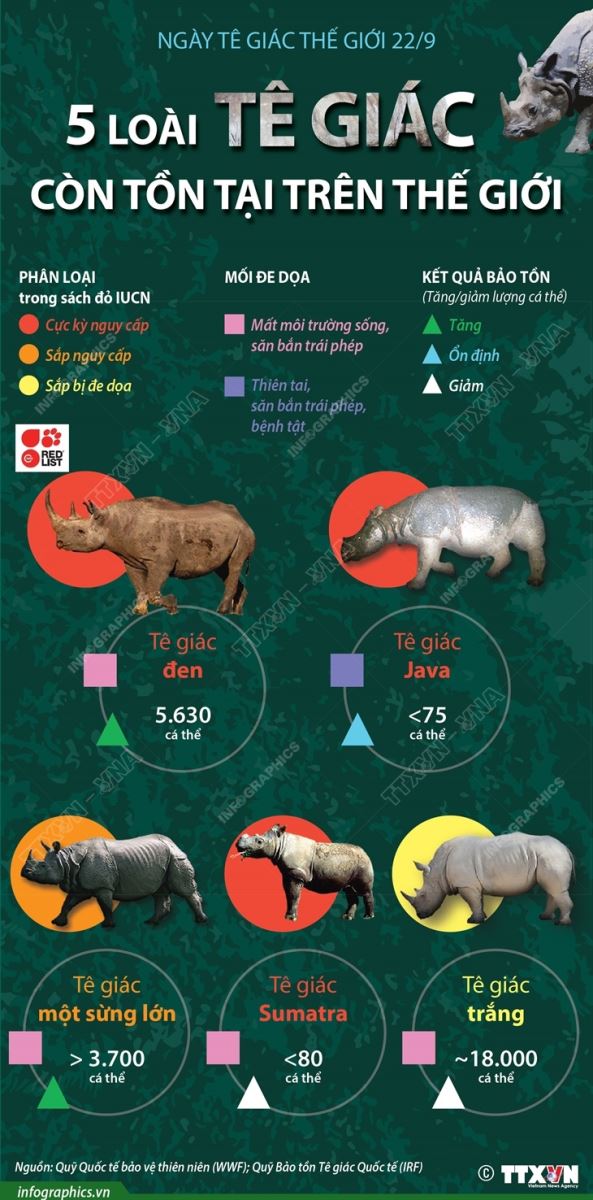Ngày Tê giác thế giới 22/9, 5 loài tê giác còn tồn tại trên thế giới, tê giác, tê giác tuyệt chủng, loài tê giác Sumatra tuyệt chủng nguy cấp, ngày tê giác thế giới