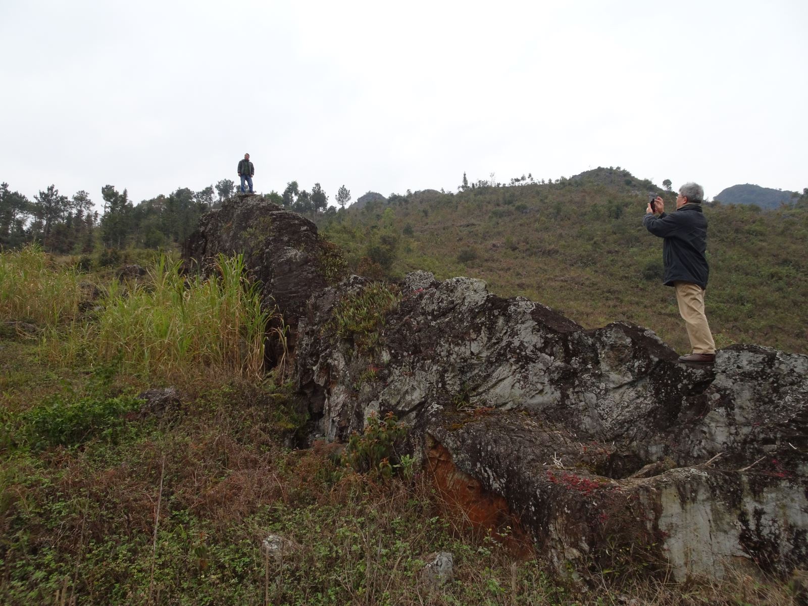 Hình ảnh thiết giao long hóa thạch ở huyện Mèo Vạc – Hà Giang