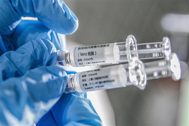 Trong ảnh: Vaccine phòng COVID-19 do Tập đoàn dược phẩm quốc gia Sinopharm bào chế tại Bắc Kinh, Trung Quốc ngày 16/3/2020. Ảnh: THX/ TTXVN