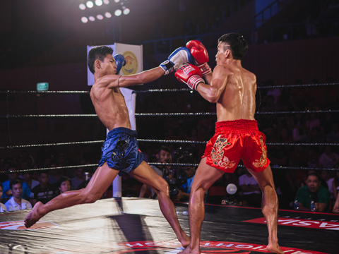 Giải Muay Thai Fight Night có sự tham gia của những võ sĩ hàng đầu thế giới. Ảnh: HT