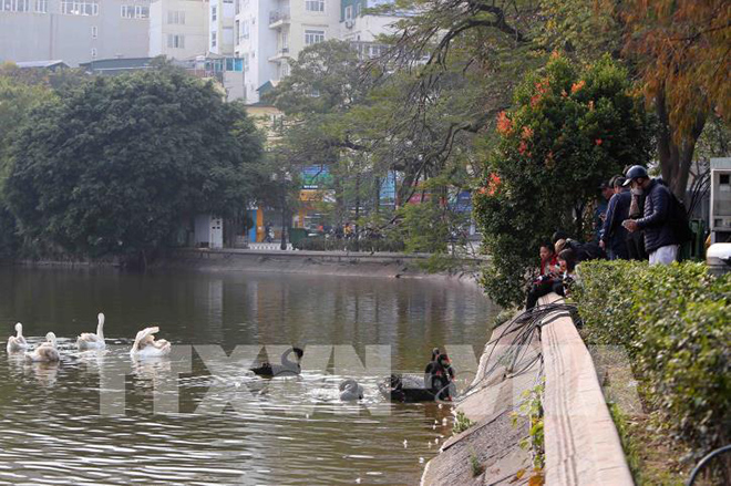 Chú thích ảnh