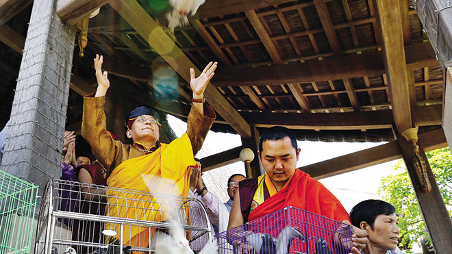 Đức Gyalwang Drukpa chủ trì Đại lễ cầu an ở Tây Thiên