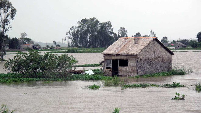 Mực nước sông Cửu Long đang lên, nguy cơ ngập lụt vùng trũng tại Đồng bằng sông Cửu Long