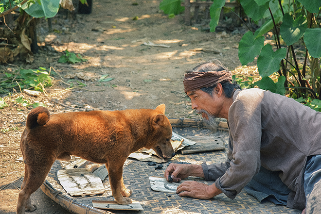 Cậu Vàng, Phim Cậu Vàng, Lão Hạc, Trailer phim Cậu Vàng, Poster Cậu Vàng, phim cau vang, Trần Vũ Thủy, Nam Cao, NSND Bùi Cường, Chí Phèo, phim mới, phim rạp