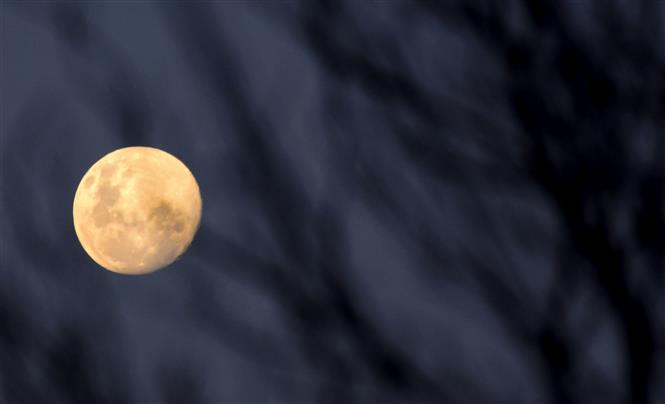 'Siêu trăng máu' - bữa tiệc thiên văn kỳ thú một lần trong một thập kỷ