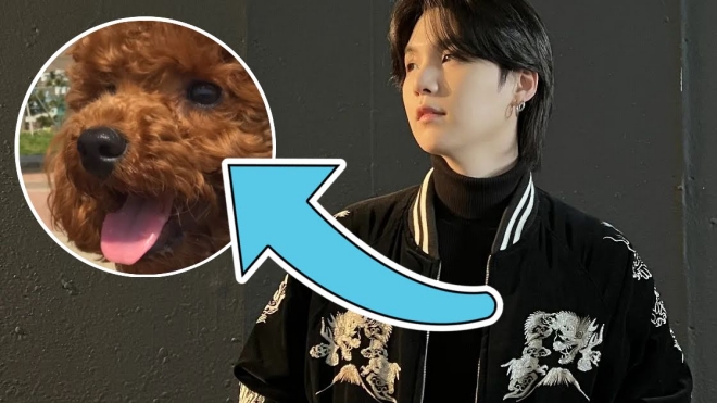 Suga BTS khiến ARMY mê mẩn với bài đăng mới về cún Holly