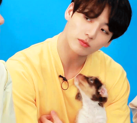 BTS, BTS tin tức, BTS thành viên, kpop, army, bts army, Jungkook, Jungkook BTS, BTS Jungkook, BTS idol, Jungkook đẹp trai, Jungkook visual, BTS profile