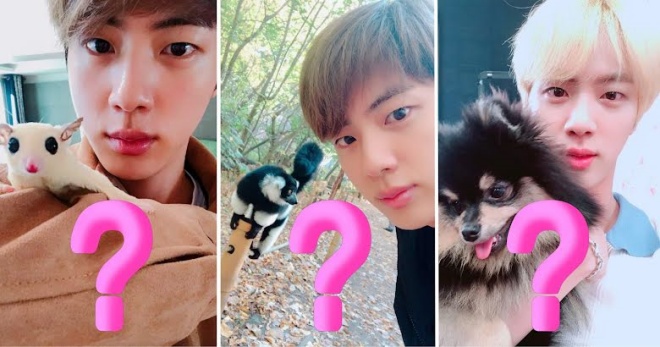 BTS, BTS tin tức, BTS thành viên, Kpop, ARMY, BTS jin, Jin, Jin BTS, BTS idol, BTS profile, BTS pet, BTS thú cưng, BTS youtube, BTS twitter, BTS interview, BTS Weverse