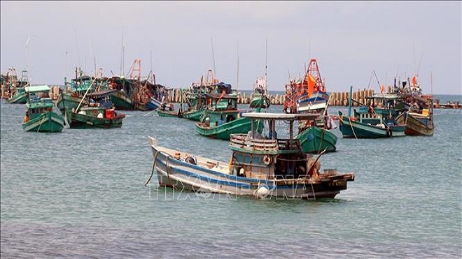 Tàu nước ngoài bồi thường 45.000 USD do đâm chìm tàu cá Bình Thuận