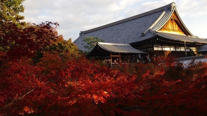 Kinh nghiệm du lịch Nhật Bản tự túc. Khám phá Kyoto 3 ngày như thế nào?
