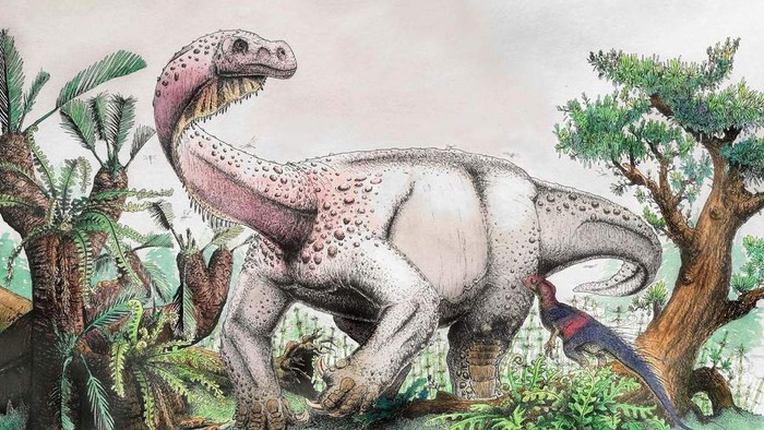 Nam Phi phát hiện hóa thạch của loài khủng long sống cách đây 200 triệu năm 