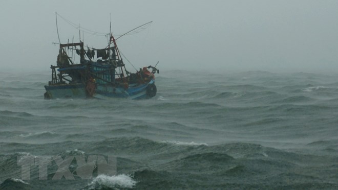 Đề nghị các nước hỗ trợ tìm kiếm 10 lao động của tàu cá bị mất tích