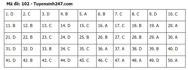 Đáp án Toán THPT Quốc gia 2020, Đáp án Toán THPT Quốc gia năm 2020, Đáp án Toán THPT Quốc gia, Đáp án môn Toán, đáp án toán, Đáp án Toán, lời giải môn toán, giải đề toán 