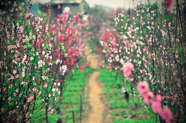 ngày vía thần tài, văn khấn ngày vía thần tài, Bài cúng vía thần tài, Bài cúng ngày vía thần tài, văn khấn thần tài 2022, bài cúng thầng tài, cúng vía thần tài, thần tài