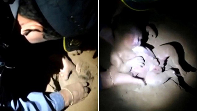 VIDEO: Bé sơ sinh bị chôn sống 8 tiếng vẫn sống sót kỳ diệu