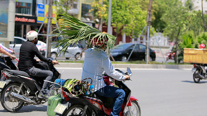 Người dân Hà Nội kháng cự với cái nắng kỷ lục bằng 'lá chắn di động'