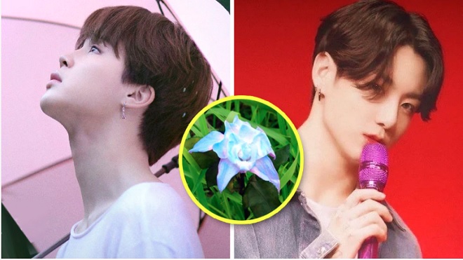 7 manh mối về màn tái xuất của BTS: Cửa hàng hoa Smeraldo, ngoại hình của Jungkook...