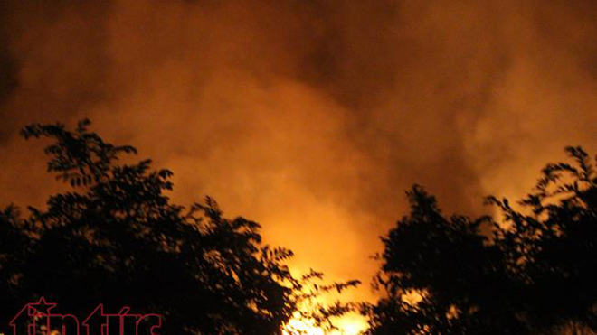 TP.HCM: Cháy lớn ven rừng tràm ở huyện Bình Chánh