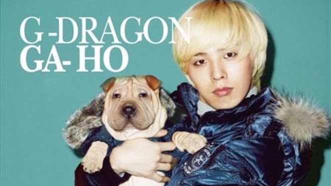 Thú cưng của G-Dragon Bigbang bị gia đình bỏ bê, ngược đãi