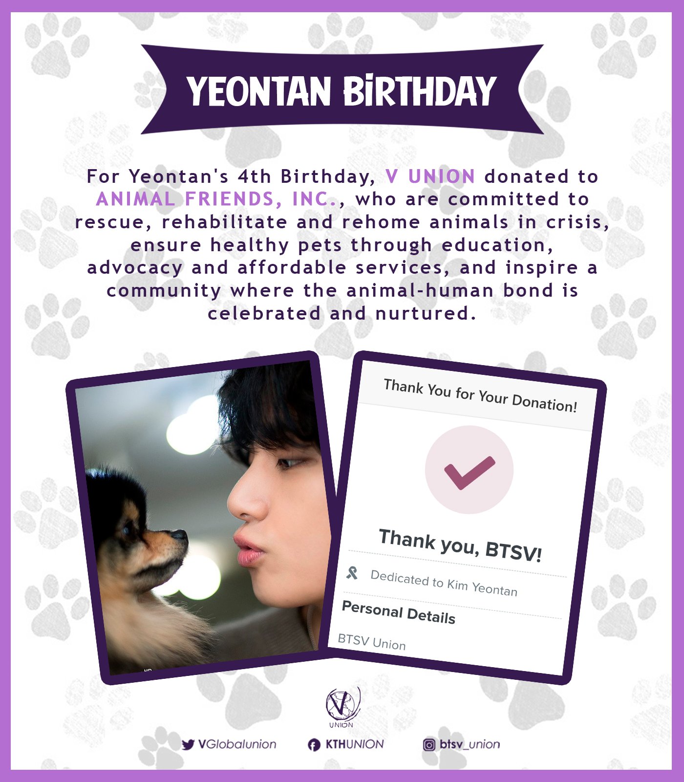 Yeontan  chú chó mới nhất của V BTS  Trang thông tin chia sẻ về chó cưng